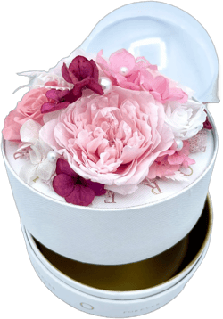 Round Clear dome preserved flowers gift box with bottom storage peonies roses hydrangeas Christmas birthday anniversary Mother’s Day gift.